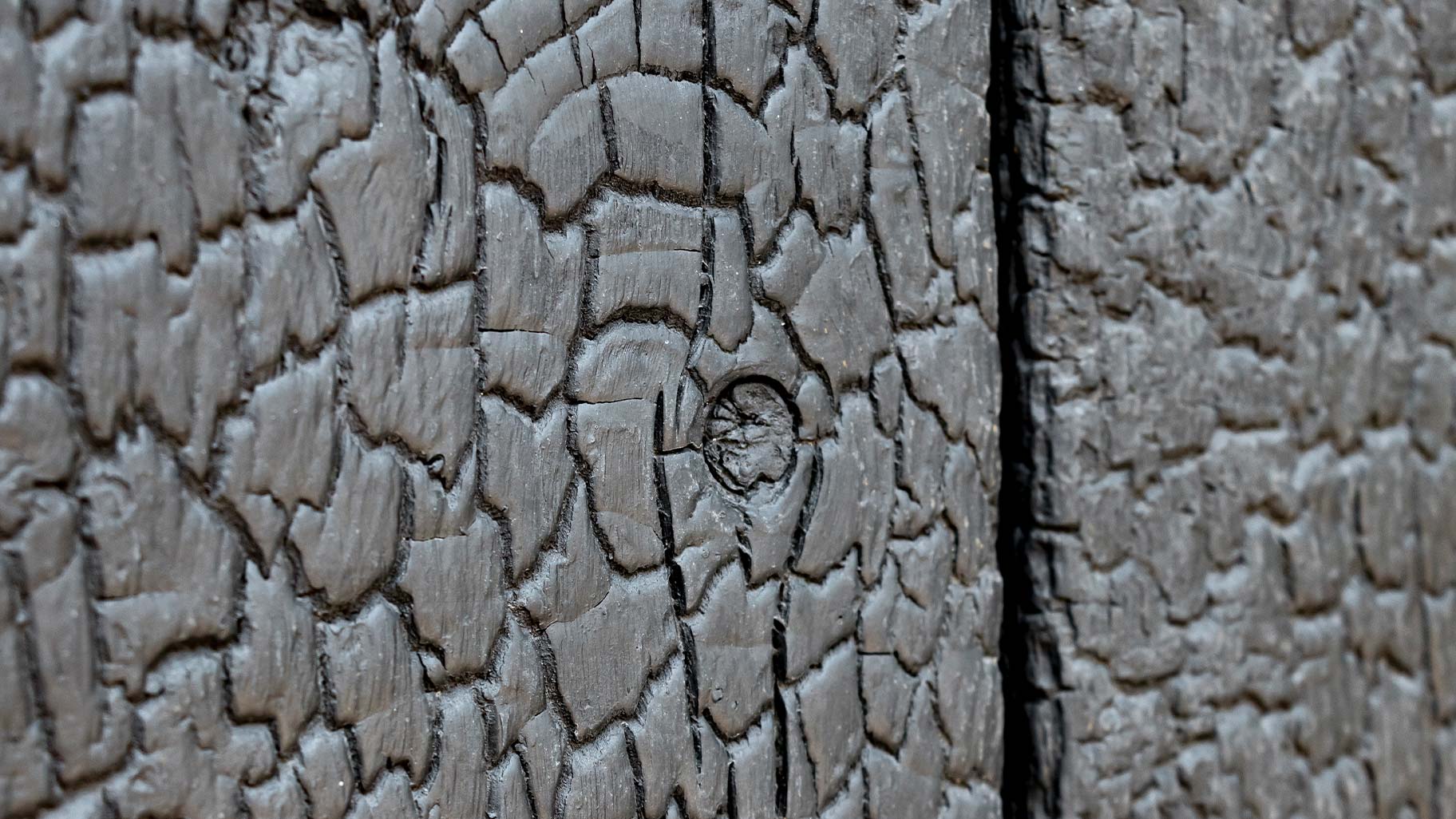 gebrand hout garagedeur
